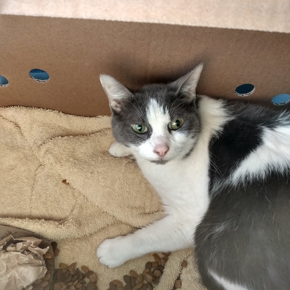 Meet your Posher, Jennifer - Picture 6 of 12